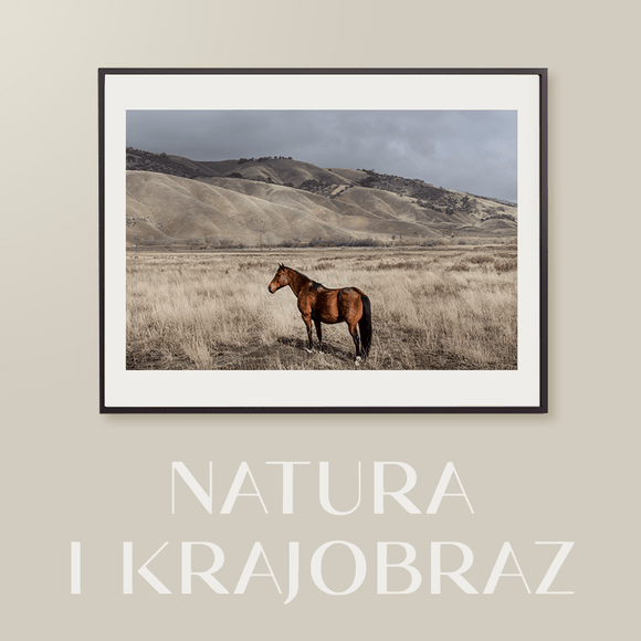 Plakaty natura i krajobrazy