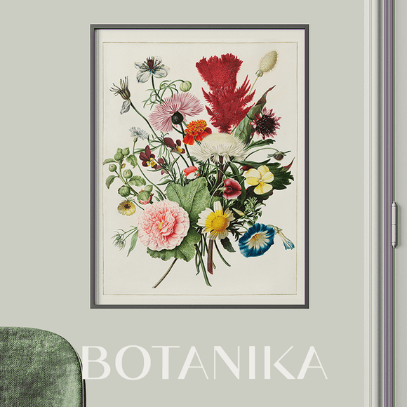 Plakaty botanika